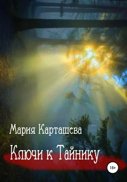 Мария Карташева Ключи к Тайнику обложка книги