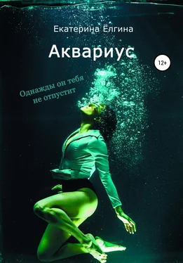 Екатерина Ёлгина Аквариус обложка книги