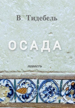 Владимир Тидебель Осада. Повесть обложка книги