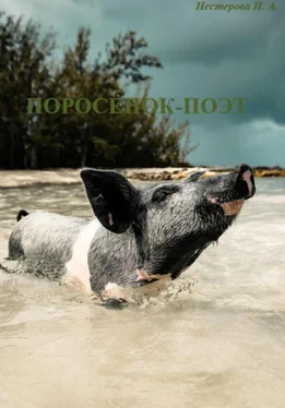 Ульяна Нестерова Поросёнок-поэт обложка книги