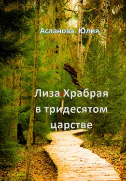 Юлия Асланова Лиза Храбрая в тридесятом царстве обложка книги