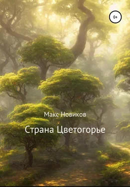 Макс Новиков Страна Цветогорье обложка книги