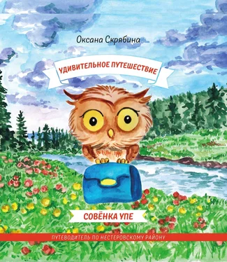 Оксана Скрябина Удивительное путешествие совёнка Упе. Книга для детей и их родителей. Путеводитель по Нестеровскому району. обложка книги