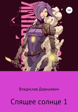 Владислав Даркшевич Спящее солнце 1 обложка книги