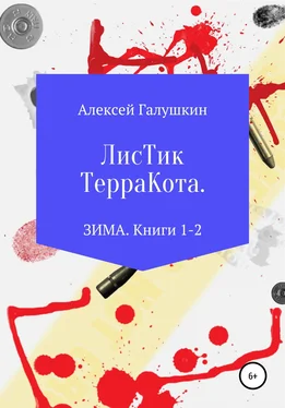 Алексей Галушкин Листик Терракота. ЗИМА. Книги 1-2 обложка книги