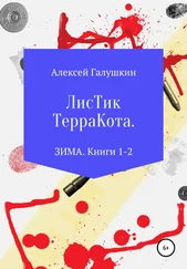 Алексей Галушкин - Листик Терракота. ЗИМА. Книги 1-2