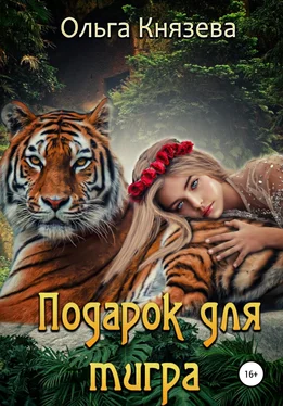 Ольга Князева Подарок для тигра обложка книги