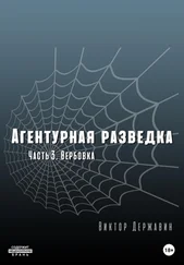 Виктор Державин - Агентурная разведка. Часть 3. Вербовка