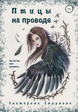 Екатерина Смирнова Птицы на проводе обложка книги
