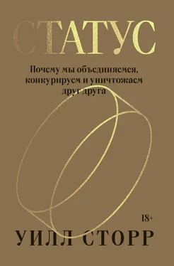 Уилл Сторр Статус. Почему мы объединяемся, конкурируем и уничтожаем друг друга обложка книги