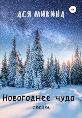 Ася Микина - Новогоднее чудо