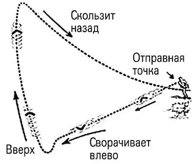 Рис 9 Траектория полета бумеранга Жизнь движется благодаря сочетанию - фото 12