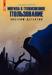 Андрей Дышев - Могила в пожизненное пользование