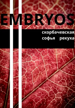 Array Скорбачевская Embryos обложка книги