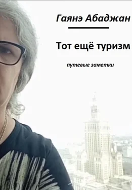 Гаянэ Абаджан Тот ещё туризм! обложка книги