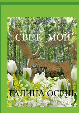 Галина Осень Свет мой обложка книги