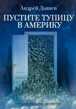 Андрей Дышев Пустите тупицу в Америку обложка книги