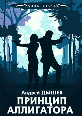 Андрей Дышев Принцип аллигатора обложка книги