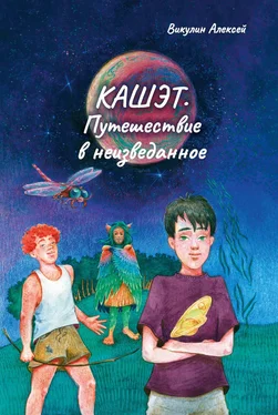 Алексей Викулин Кашэт. Путешествие в неизведанное обложка книги