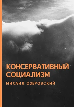 Михаил Озеровский Консервативный социализм обложка книги
