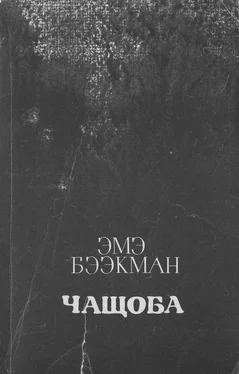 Эмэ Бээкман Чащоба обложка книги