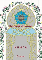 Николай Игнатков - Книга