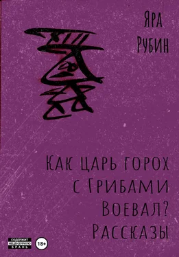 Яра Рубин Как царь Горох с грибами воевал? Рассказы обложка книги