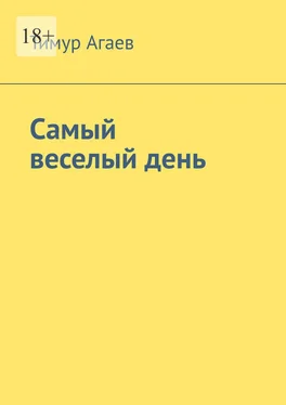 Тимур Агаев Самый веселый день обложка книги