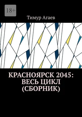 Тимур Агаев Красноярск 2045: весь цикл (сборник) обложка книги