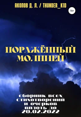 Давид Акопов Поражённый молнией обложка книги