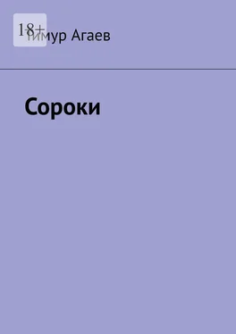 Тимур Агаев Сороки обложка книги