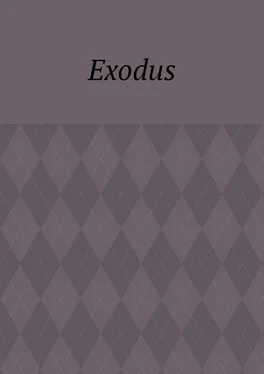 Андрей Тихомиров Exodus. Zeile für Zeile Erklärung der Bibel обложка книги