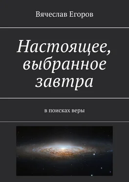 Вячеслав Егоров Настоящее, выбранное завтра. В поисках веры обложка книги