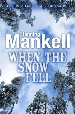 Mankell Henning When the Snow Fell обложка книги