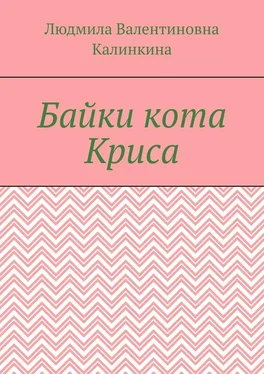 Людмила Калинкина Байки кота Криса обложка книги