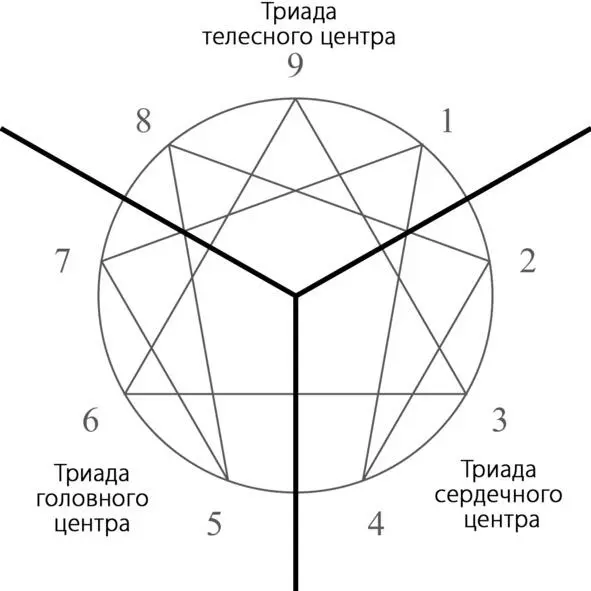 Три основные триады ТРИАДА СЕРДЕЧНОГО ЦЕНТРА ТИПЫ 2 3 4 Типы 2 3 и 4 - фото 6