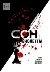 Матвей Карташов - Сон Виолетты. Сказка для детей, потерявших свой возраст