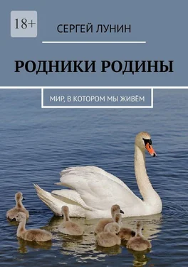 Сергей Лунин Родники Родины. Мир, в котором мы живём обложка книги