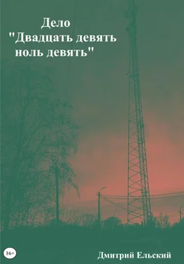 Дмитрий Ельский Дело «Двадцать девять ноль девять» обложка книги