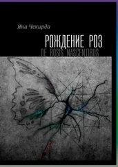Яна Чекирда - Рождение роз