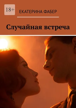 Екатерина Фабер Случайная встреча обложка книги