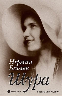 Нермин Безмен Шура. Париж 1924 – 1926 обложка книги