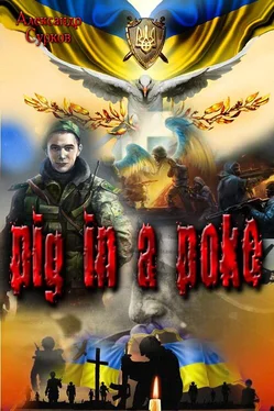 Александр Сурков Pig in a Poke обложка книги