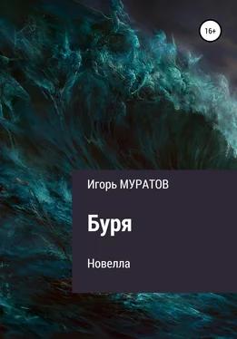 Игорь Муратов Буря обложка книги