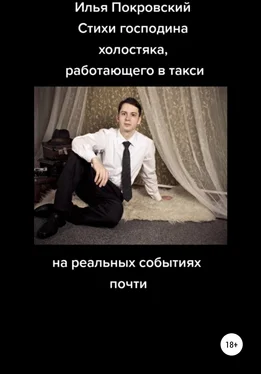 Илья Покровский Стихи господина холостяка, работающего в такси, на реальных событиях почти обложка книги