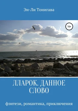 Эн-Ли Тонигава Лларок. Данное слово обложка книги