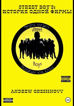 Andrew Greshnovv Street Boy's: история одной фирмы обложка книги