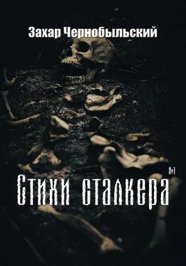 Захар Чернобыльский Стихи сталкера #1 обложка книги