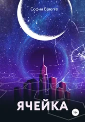 София Брюгге - Ячейка