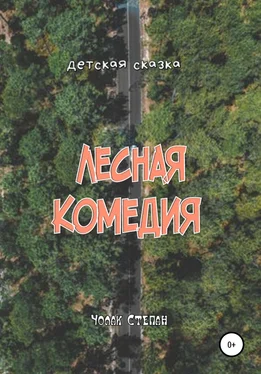 Степан Чолак Лесная комедия обложка книги